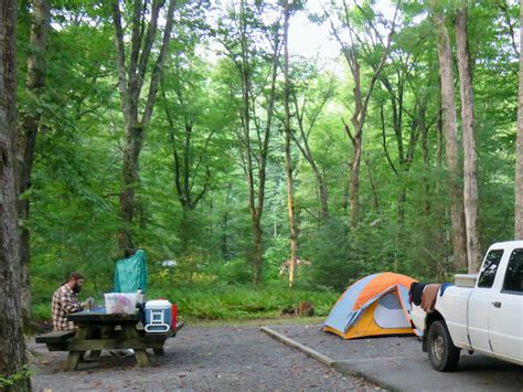 Exploring the Davidson River Campground Near Brevard NC