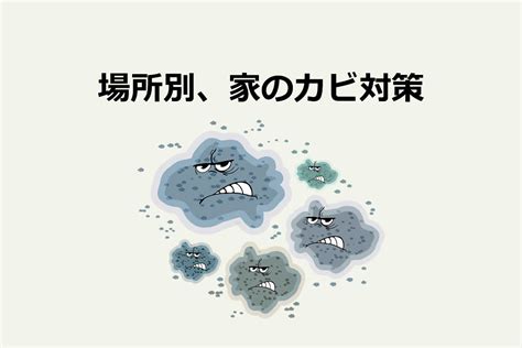 場所別、家のカビ対策13選比較net