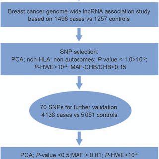 Flow Chart Of The Genome Wide LncRNA Analysis Of Breast Cancer In