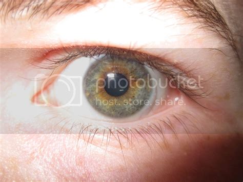 Is hazel a real eye color? - AR15.COM