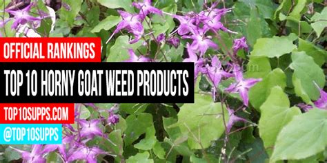 Best Horny Goat Weed Supplements Top 10 Brands For 2023