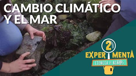 Cambio Climático Y El Mar Experimenta Ciencia De Niñs Youtube