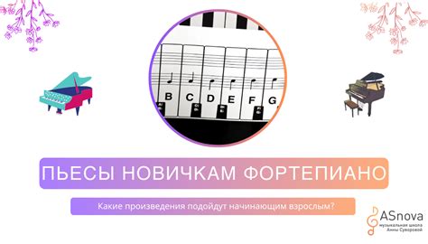 Произведения для фортепиано для начинающих взрослых - блог музыкальной ...