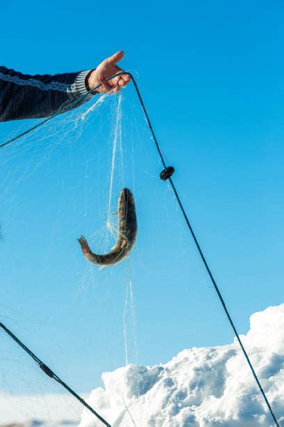 Frozen Lake Fishing Stock Photos, Pictures & Royalty-Free Images - iStock