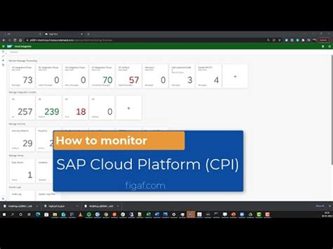 Monitoring Sap Cloud Integration Cpi Standard And With Figaf Youtube