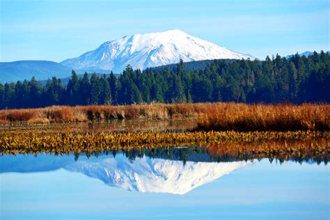 7 Best Mt St Helens Hikes for All Levels • Small Town Washington