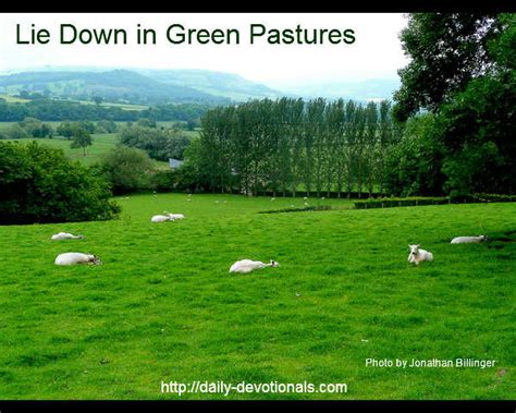 Lie Down In Green Pastures – Daily-Devotionals.com