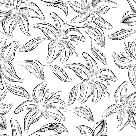 Vector Lilly Seamless Pattern Black And White With Line Art On White