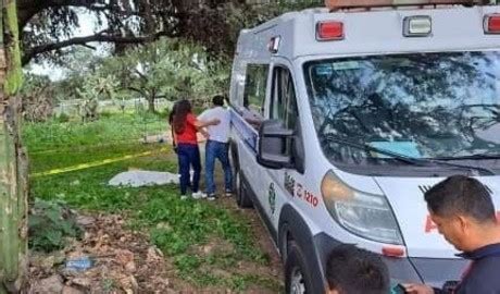 Mata jauría de perros a una abuelita en Hidalgo POSTA Nuevo León