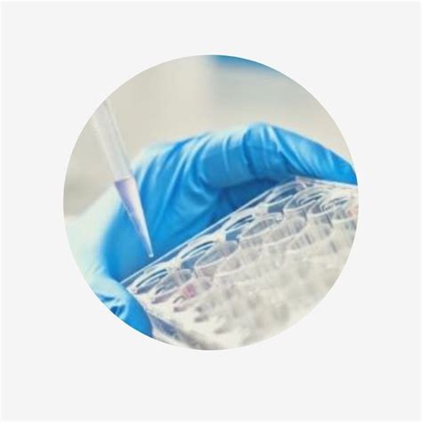 Explore ScienCell 3D Cell Culture