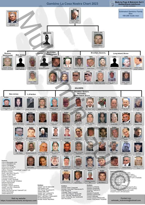 Up to date Cosa Nostra LCN charts – Bonanno, Colombo, Gambino, Genovese