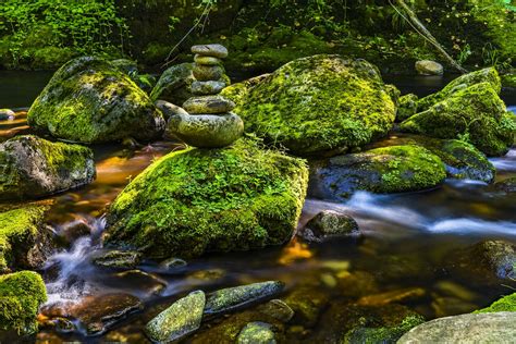 Time Lapse Photography Of River · Free Stock Photo