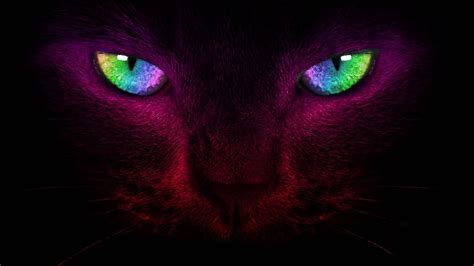 Share more than 77 neon cat wallpaper latest - in.cdgdbentre