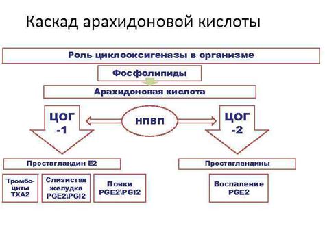 ОБЕЗБОЛИВАНИЕ ПОСЛЕ ТРАВМ И ОПЕРАЦИЙ Сергей Семёнович Копёнкин