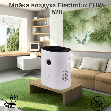 Мойка воздуха Electrolux EHW-620 купить на OZON по низкой цене (893633498)