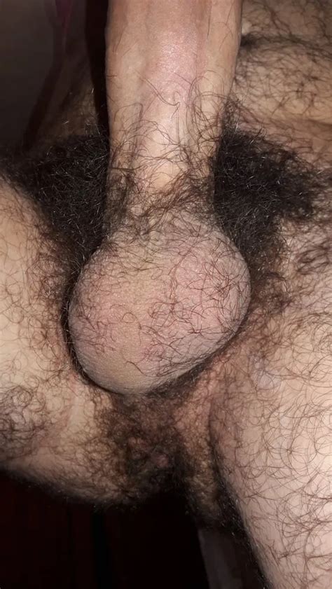 My Huge Hairy Cock And Balls Nude Pics XHamster