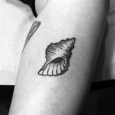 Conch Shell Tattoo Designs Conch Shell Tattoo Design