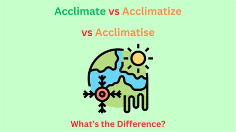 Acclimate vs Acclimatize vs Acclimatise: Pick the Right Verb | Grammar ...