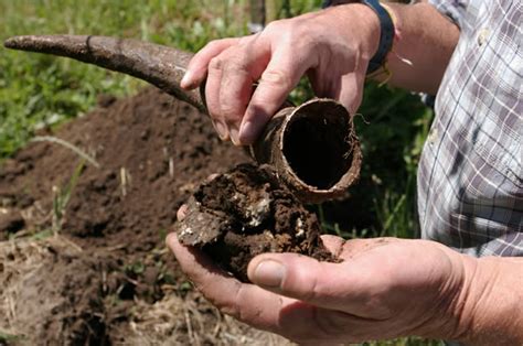 Biodynamic Wine A Guide To This Novel Form Of Winegrowing By Jamie Goode