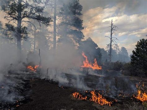 Heres The Status Of 5 Wildfires Burning In Arizona Right Now