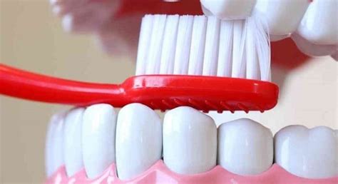 how to treat loose gums at home