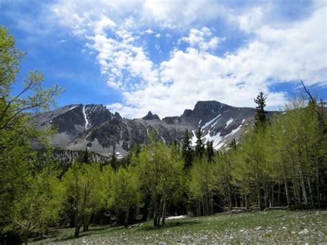 Raven And Chickadee Great Basin The Loneliest National Park