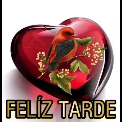 FELIZ TARDE PARA TODOS AMIGOS In 2023 Good Afternoon