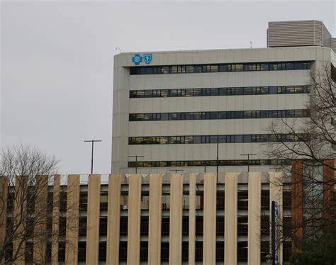Ann Arbor mayor, Wayne Co. Commission call on Blue Cross to defund ‘Big