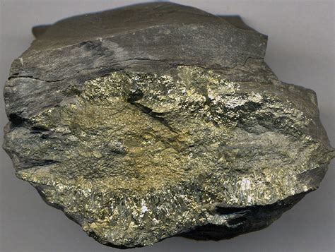 Pyrite Concretion In Black Shale Blocher Member New Alba Flickr