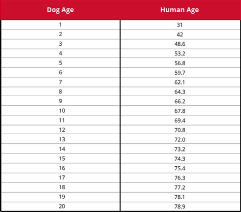 Dog Years How to Accurately Calculate Your Dogs Age - Bravecto Blog