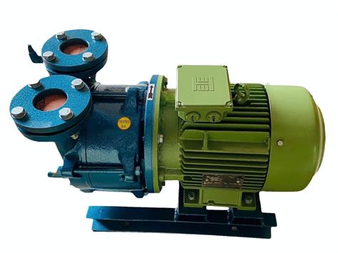 Single Stage Watering Vacuum Pump Hp At Rs Piece In Ahmedabad