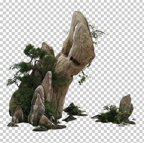 庭石 Stone Rock Garden PNG - Free Download | Photoshop elements, Photoshop backgrounds backdrops ...