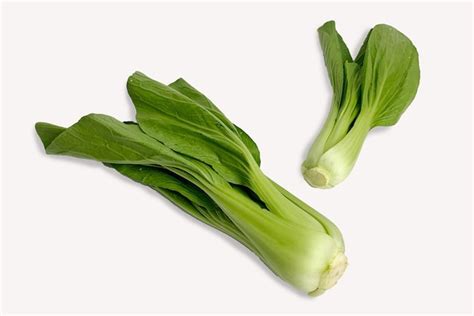 Premium Photo Bok Choy Or Pak Choi Pakcoy Vegetable Isolated On The