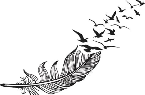 Feather Drawing Png Clipart Large Size Png Image Pikpng