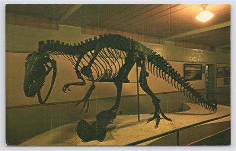 Al~the Allosaurus Dinosaur~model Prehistoric Museum In Price Utah~jurassic~vtg United States