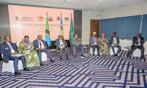 Photos Uhuru Attends International Conference In Tanzania