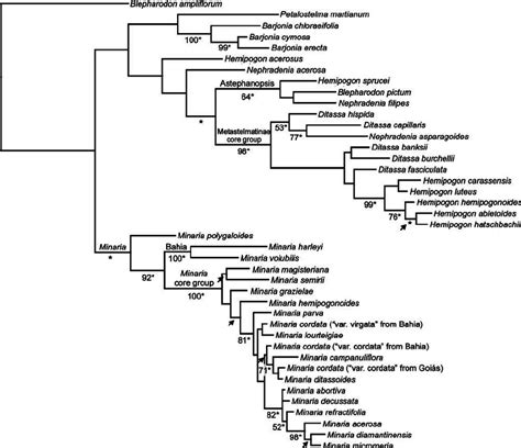 Phylogram Of Majority Rule Consensus Trees Produced By The Bayesian