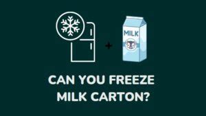 Can You Freeze Milk In The Carton To Keep It Fresh For Long Millenora