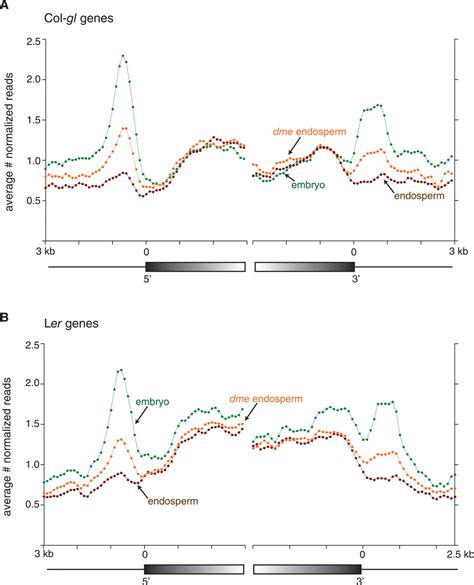 Extensive Demethylation Of Repetitive Elements During Seed Development