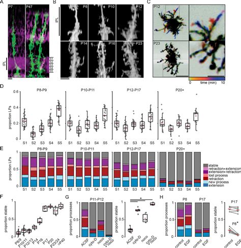 Figures And Data In Excitatory Neurotransmission Activates