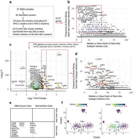 The Procedure For The Selection Of Stem Like Markers Of Gbm That Excel Download Scientific