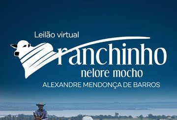 LEILÃO VIRTUAL RANCHINHO NELORE MOCHO Central Leiles