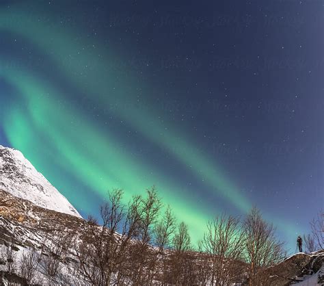 "Northern Lights Of Tromso" by Stocksy Contributor "Travelpix" - Stocksy