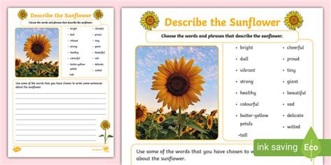 New Describe The Sunflower Writing Activity Twinkl