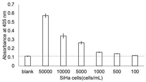 Quantification Of Hpv E Oncoproteins In Urine Specimens From Women