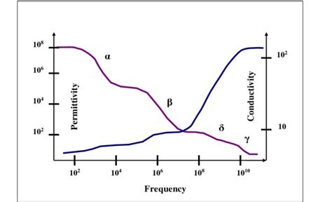 Complex Permittivity Spectrum Of Biological Cells α Dispersions Are To