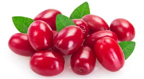 Кизил - описание продукта, как выбирать, как готовить, читайте на ...
