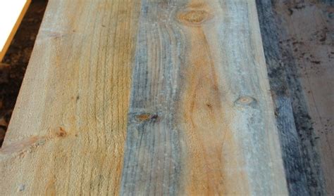 Deterioration Of Wood Factors You Need To Consider And How To Spot Them