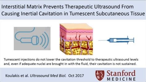 Tissue Regeneration Lab Pediatric General Surgery Stanford Medicine