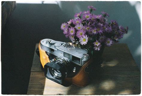 Minidiary Combo Hot Shoe Cover And Shutter Button Perfect Etsy